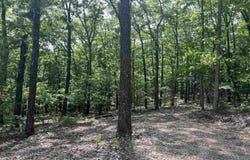 CR 2909, Marble Falls, AR 72648