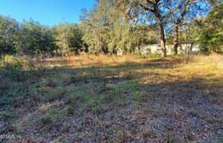 602 SHAPPELL Avenue, Interlachen, FL 32148