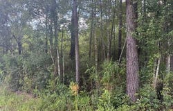 2539 Chauncey Town Road, Lake Waccamaw, NC 28450