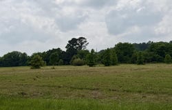 Private Road 7407, Brownsboro, TX 75756