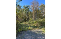 Barcus Rd, Grafton, WV 26354