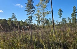 Millville Rd lot: B, Lawrenceville, VA 23868