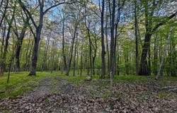 5899 Elm Run, Farwell, MI 48622
