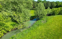 34728 US Hwy 11, Valley Head, AL 35989