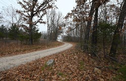 21010 Trailing Vine Rd, Lebanon, MO 65536