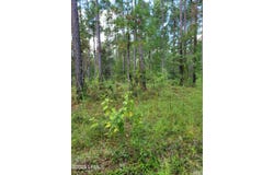 Tbd Tina Manker Road, Ridgeland, SC 29936
