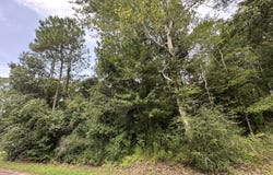 Elizabeth, Ocean Springs, MS 39564