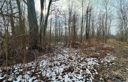 Sanborn Road, Ashtabula, OH 44004