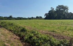 0 Near 302 Miller Street, Chadbourn, NC 28431