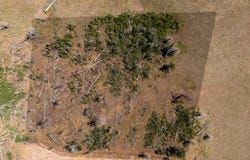 Berger Ln lot: 1534, Fort Garland, CO 81133