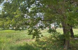 651 E 3rd Street, Lancaster, TX 75146