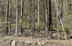 14 Hawk Mountain Drive, Sparrowbush, NY 12780
