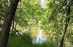Martin Road, Alpena, MI 49707