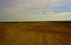 0 County Road 28, Slocomb, AL 36375