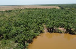 462 +/-AC  FM 1225, Haskell, TX 79521