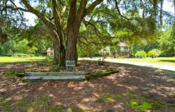 1660 Boyd N Hayes Road, Johns Island, SC 29455