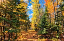 Hinkkanen Road, Floodwood, MN 55736