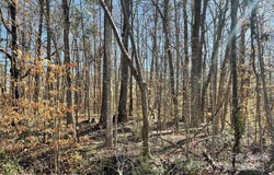 01 Lurecliff Place, Fort Mill, SC 29708