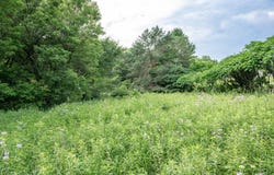 4.75 Ac Fish Court, Oxford, WI 53952