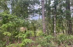 #7 Lawler Rd., Lumberton, MS 39455