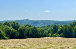 218 Gladstone Wesley Road, Science Hill, KY 42553
