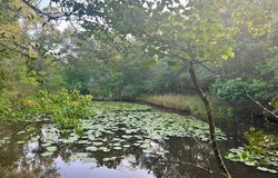 000 Sandy Creek Rd, Garwood, TX 77442