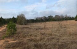 114 Madison, Warthen, GA 31094