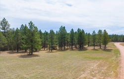 TBD W Argyle Road, Custer, SD 57730