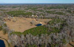 Cedar Grove Road, Batesburg-Leesville, SC 29006