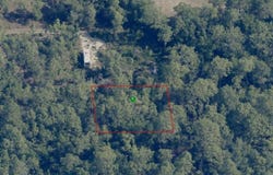 1133 W Cushman Court, Lecanto, FL 34461