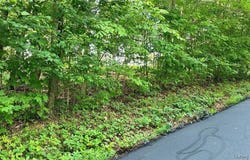 0 Rosie Gayle Drive NE, Palmyra, IN 47164