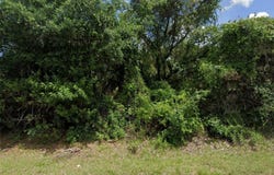 1516 Wellington Avenue, Lehigh Acres, FL 33972