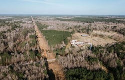 McNeil, AR 71752