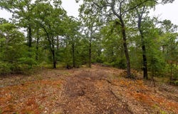 492 S Old Potato RD, Paige, TX 78659