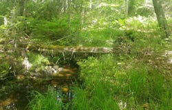 M13, L36, Harland Cunningham Road, Penobscot, ME 04476