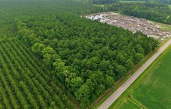 Saintsville Road, Greenville, NC 27834