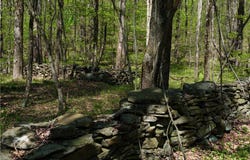 Sanly Road, Franklin, NY 13839