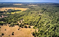 Tbd Cr 411 County RD, Lexington, TX 78947