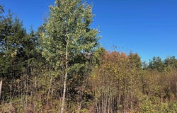 8824 Hemlock Hill Drive, Traverse City, MI 49685