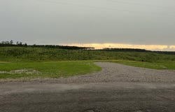 0 Otis Paine Road, Bethel Springs, TN 38315