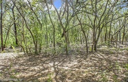 115 CORAL Avenue, Interlachen, FL 32148