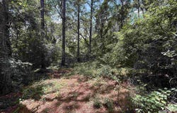 10790 Cattle Branch Court, Mobile, AL 36608