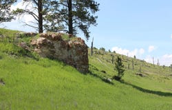 11246 Custer Limestone Road, Custer, SD 57730-0000