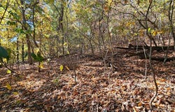 Lot #1403a Via Del Lago Drive, Sunrise Beach, MO 65079
