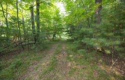 GILKEY LAKE Road, CRIVITZ, WI 54114
