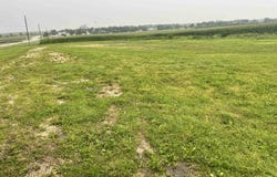 2957 IA 13, Ryan, IA 52330-0000