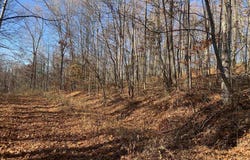Narrows Road, Philippi, WV 26416
