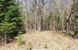 9 South Lake Road, Phillips, WI 54555