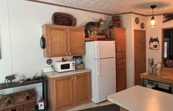 3508 Brodie Road, South Branch, MI 48761