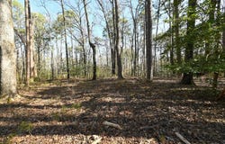 TBD Silver Point Drive, Mount Ida, AR 71957